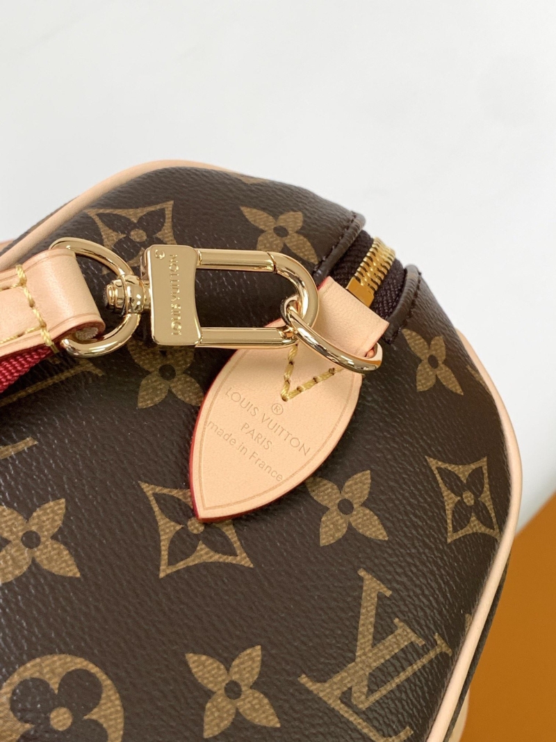 LV Speedy Bags